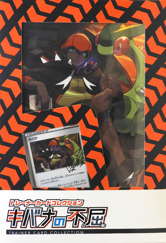 Trainer card collection Raihan's Indomitable